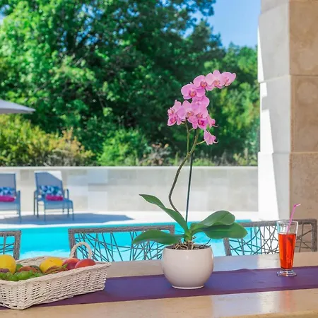 Liv Villa Hreljici